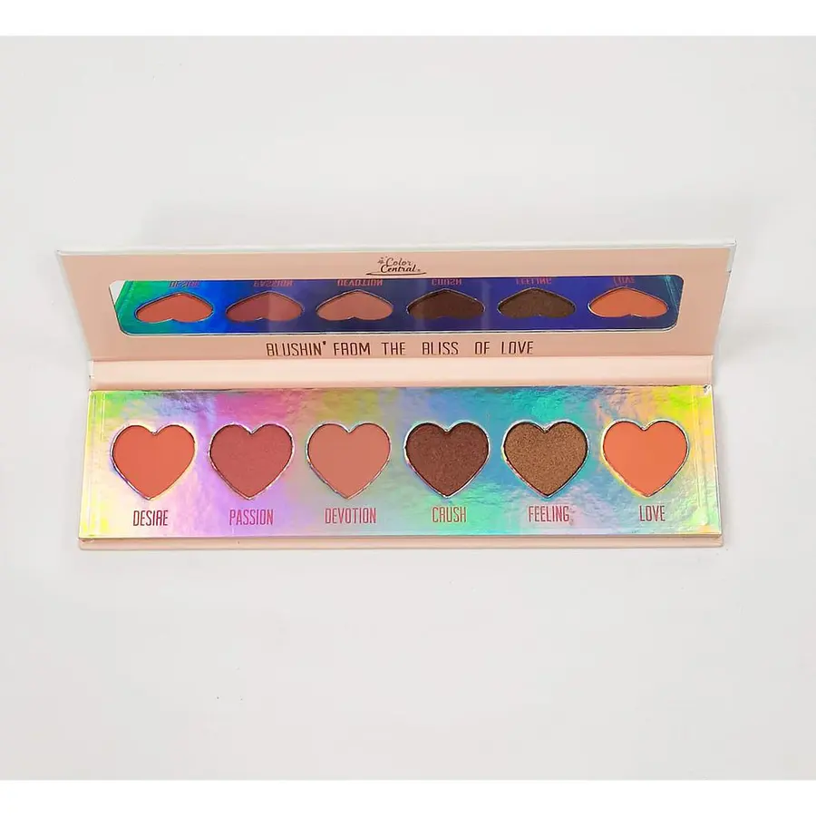Color Central - Blush Palette